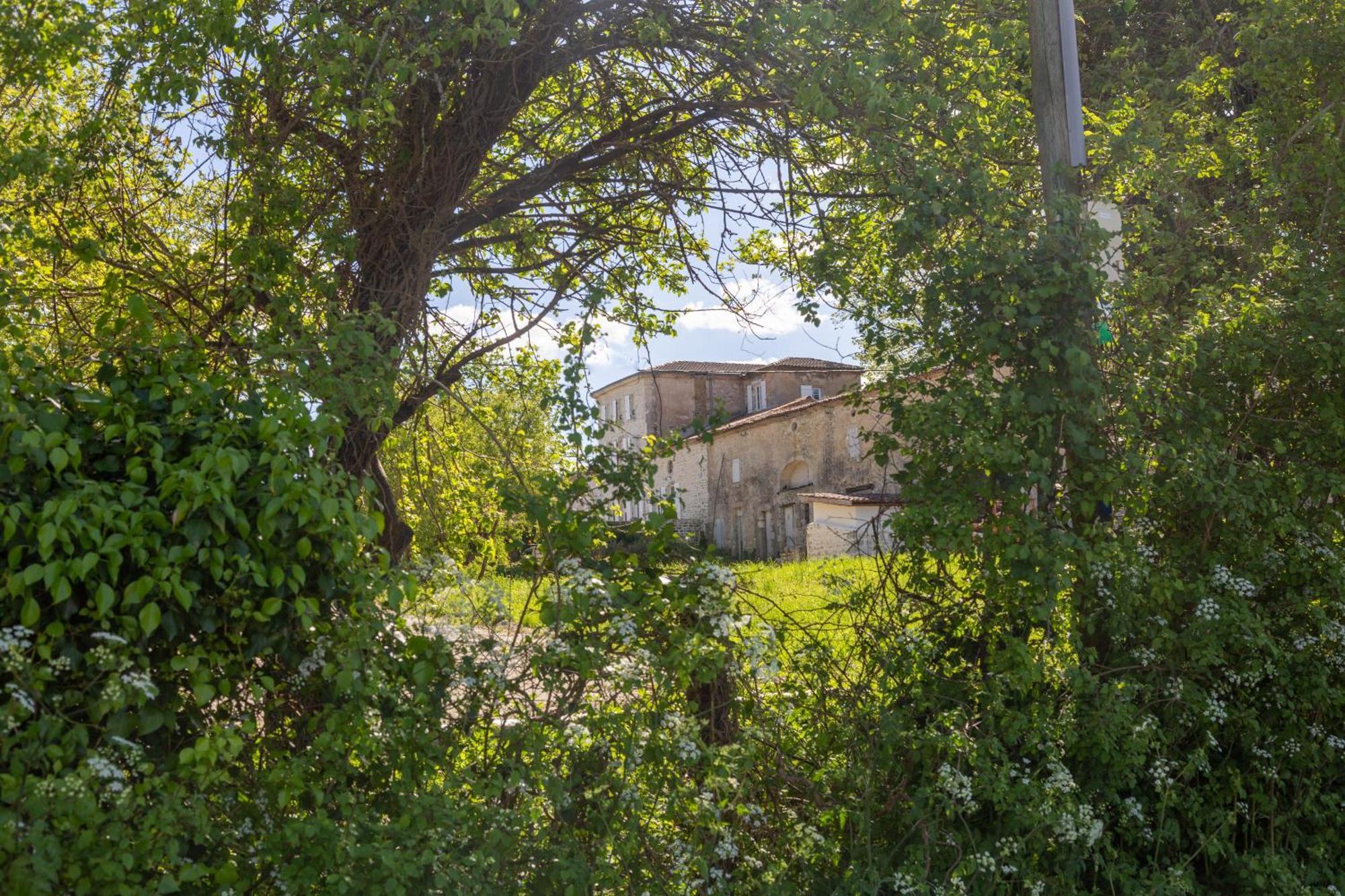 Chateau Haut Gouat Bed and Breakfast Vertheuil-en-Médoc Exterior foto